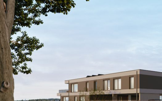 NOUVELLE PROMOTION L’ECRIN DES CIMES LA CHAUX -DE- FONDS.