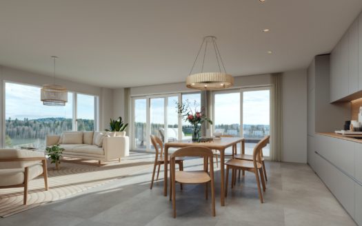 NOUVELLE PROMOTION L’ECRIN DES CIMES LA CHAUX -DE- FONDS.