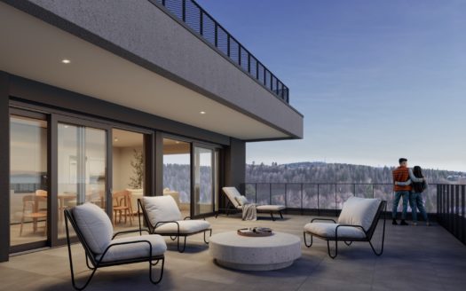 NOUVELLE PROMOTION L’ECRIN DES CIMES LA CHAUX -DE- FONDS.